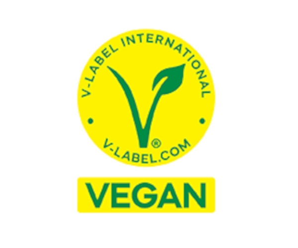 V - Label International Logo